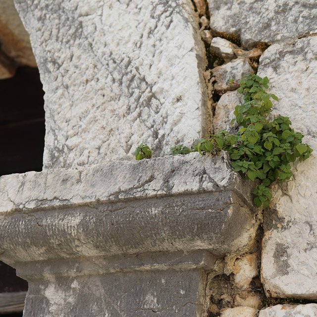 insta